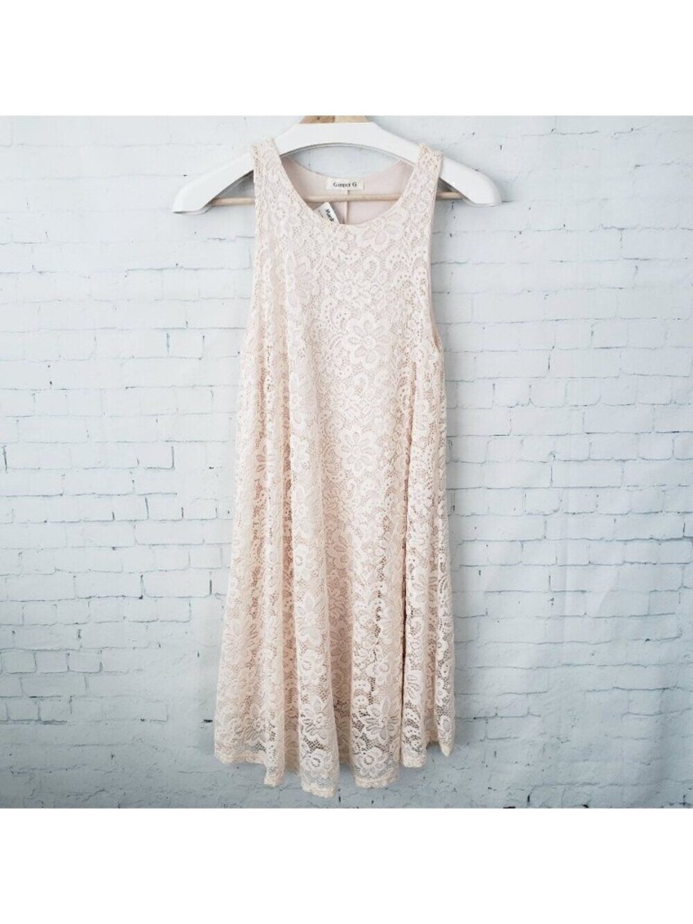 Ginger G Trapeze Lace Overlay Dress Size S Light Pink Lined Stretch NEW Womens